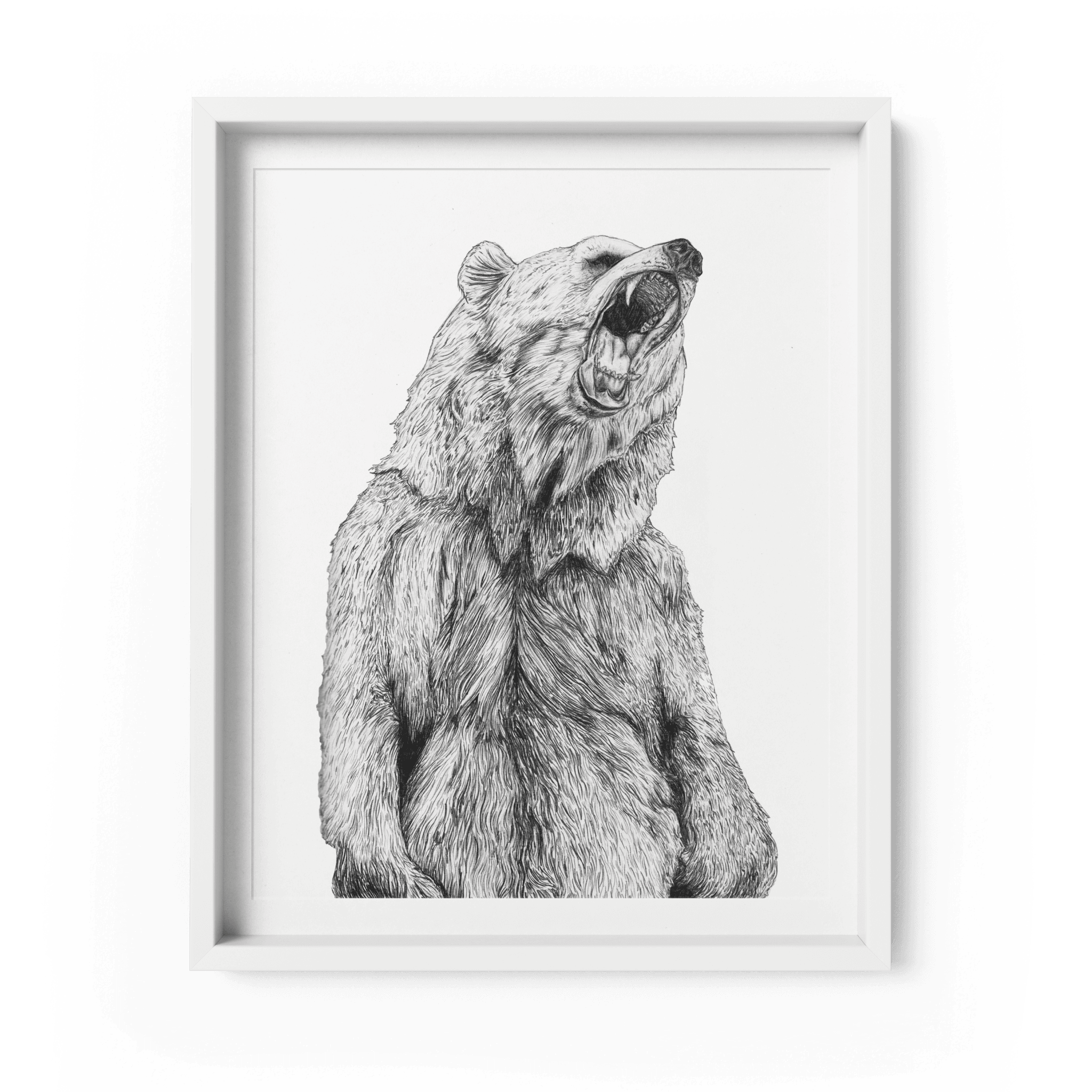 Grizzly Bear Head Line Drawing Stock Illustrations – 1,162 Grizzly Bear  Head Line Drawing Stock Illustrations, Vectors & Clipart - Dreamstime